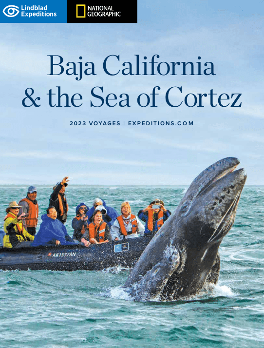 Get your free Lindblad Expeditions Baja California brochure today!