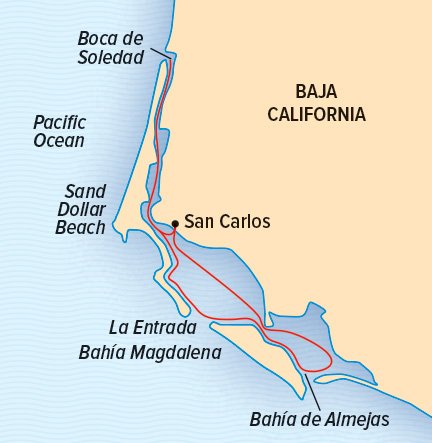Wild Baja Escape: The Whales of Magdalena Bay itinerary map