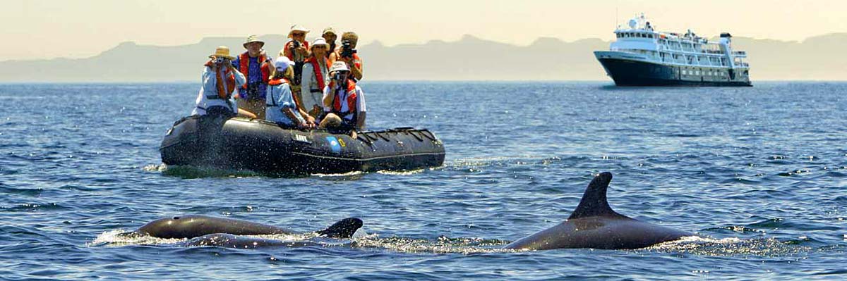 Baja California and the Sea of Cortez: Among the Great Whales