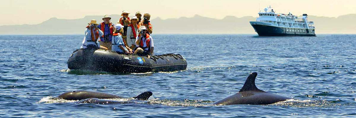 cruises in baja california