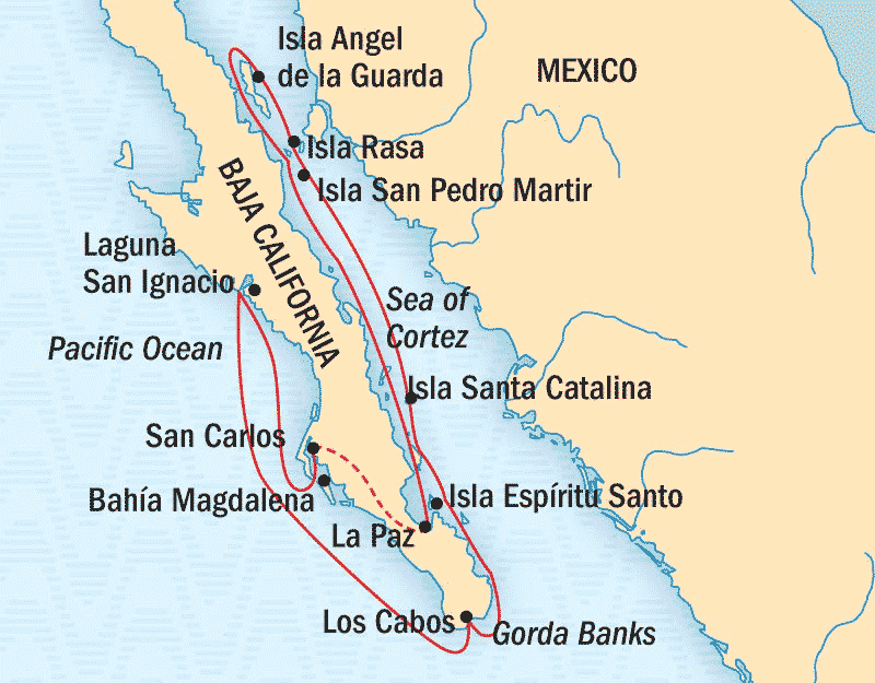 Baja california - A Remarkable Journey